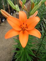 [4089 Caluroso DJ No02.JPG]